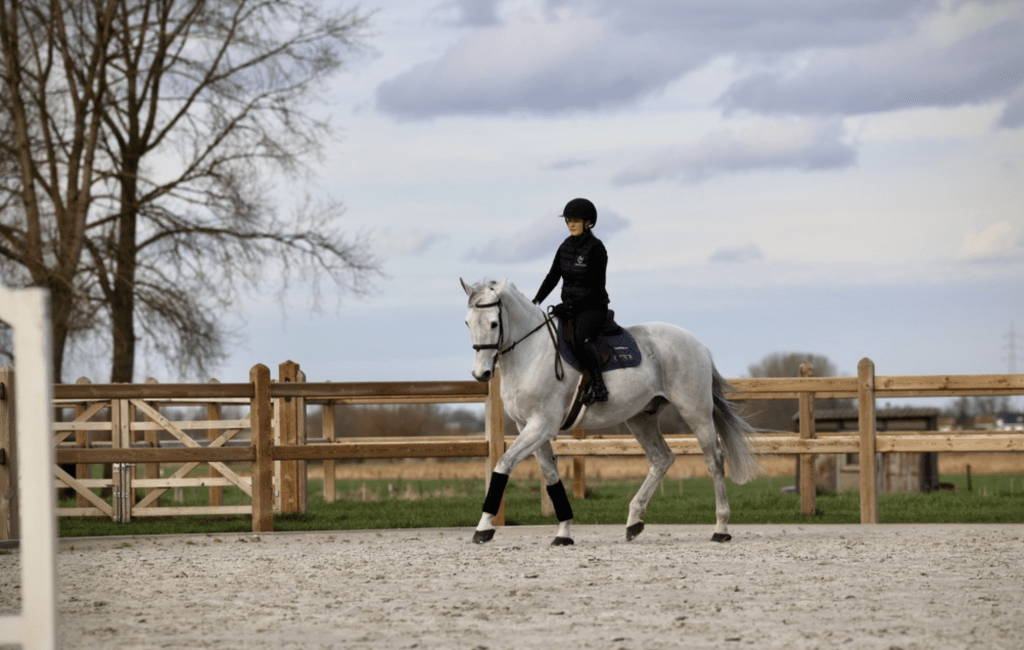 Charlotte Mahieu Training paardenpiste